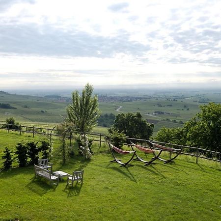 Le Clos Saint-Vincent Ribeauvillé Esterno foto