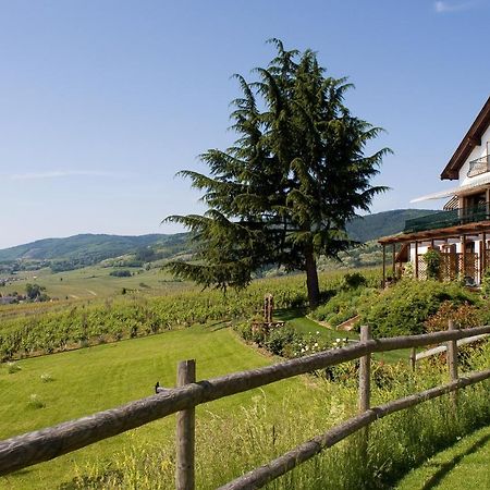 Le Clos Saint-Vincent Ribeauvillé Esterno foto
