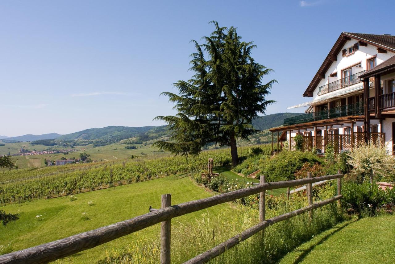 Le Clos Saint-Vincent Ribeauvillé Esterno foto